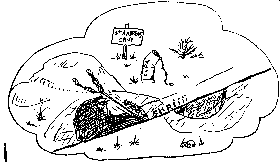 v19.gif (7580 octets)
